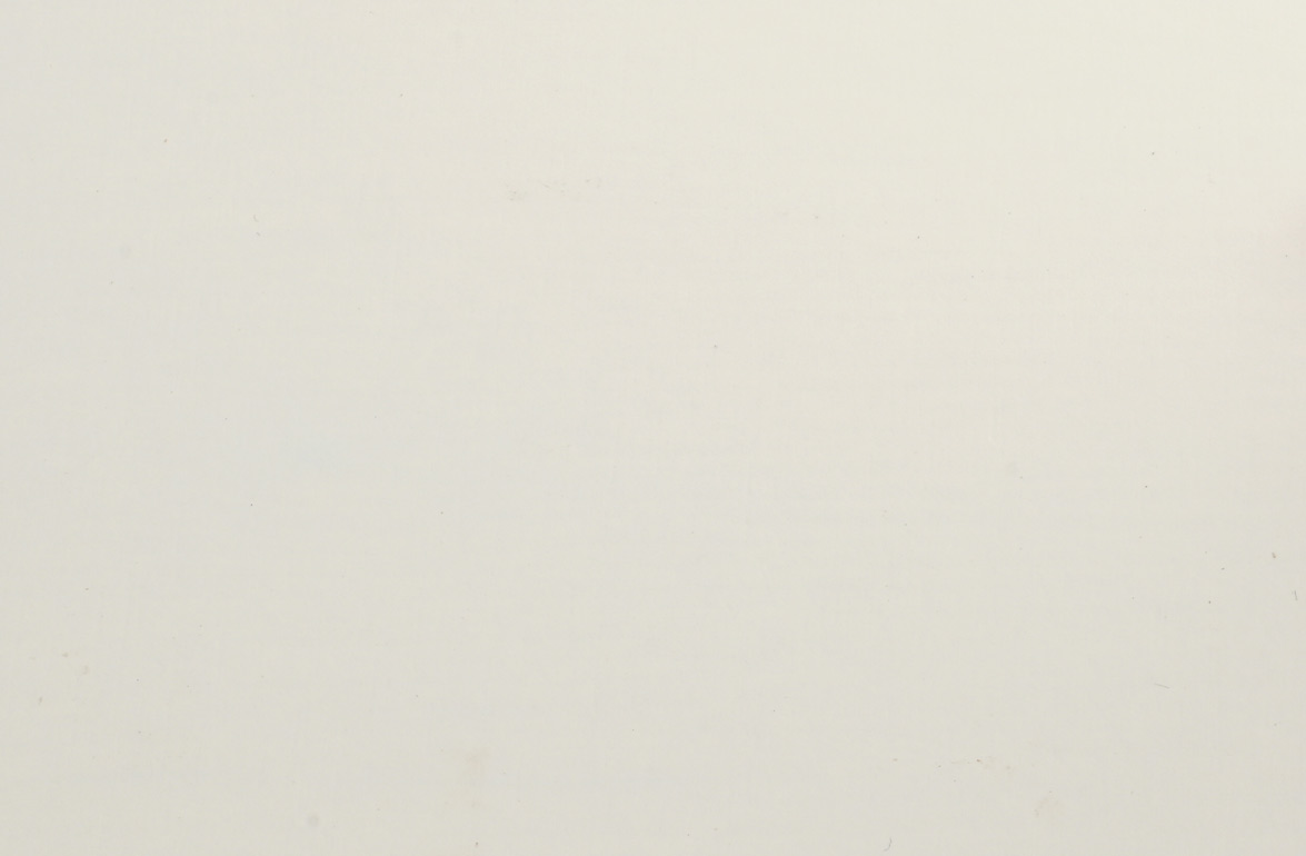 Birkekrydsfiner, Film/Film Hvid, FSC Mix 96%